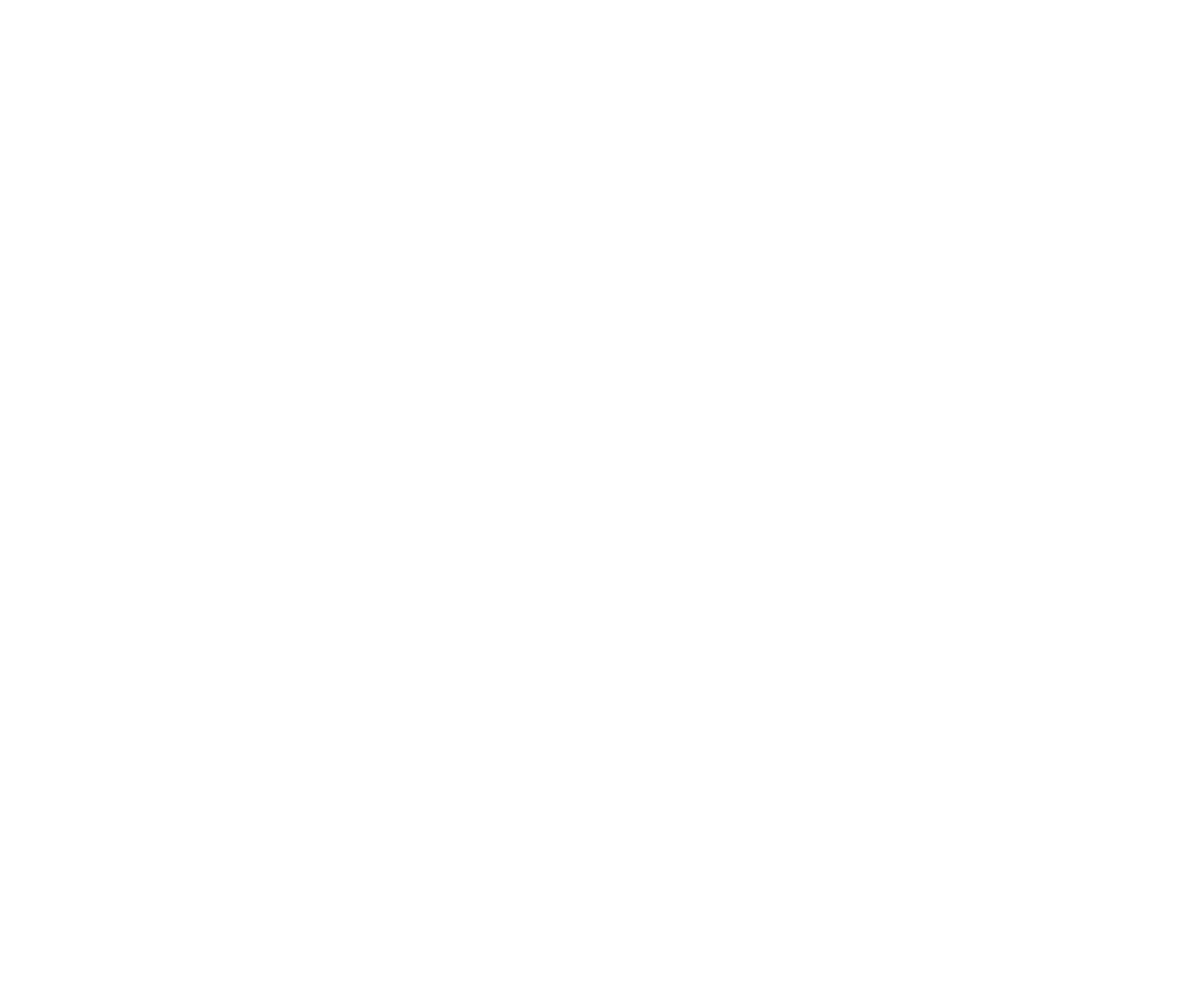 VIXLIV logo